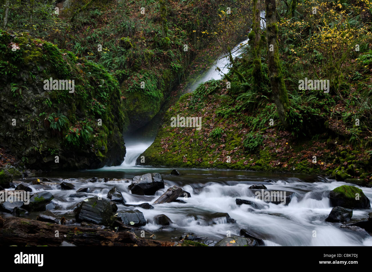 Di seguito Stream Bridal Veil Falls in Columbia River Gorge Foto Stock