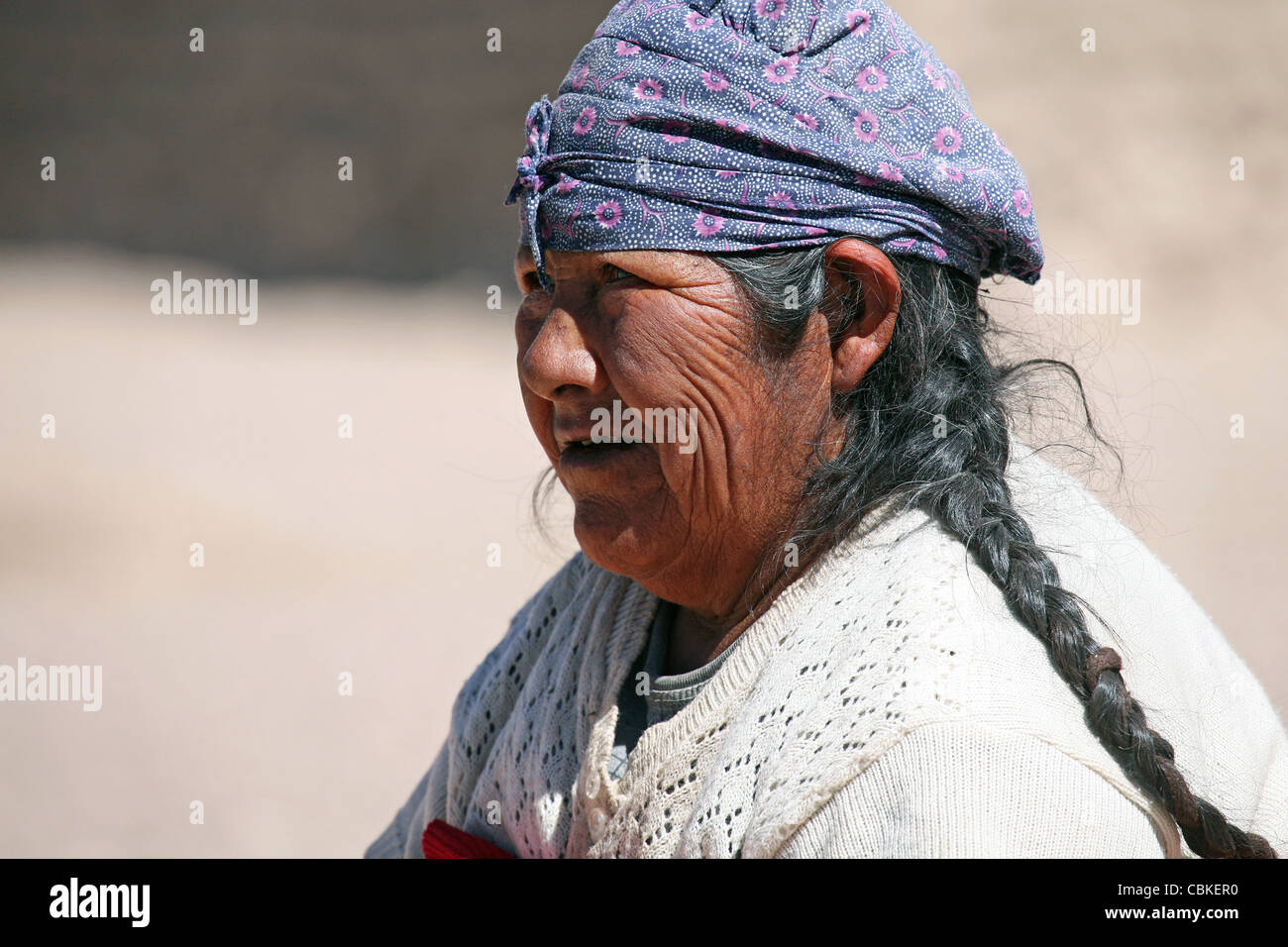 Ritratto di tradizionalmente vestiti donna boliviana con velo e tress, Altiplano, Bolivia Foto Stock