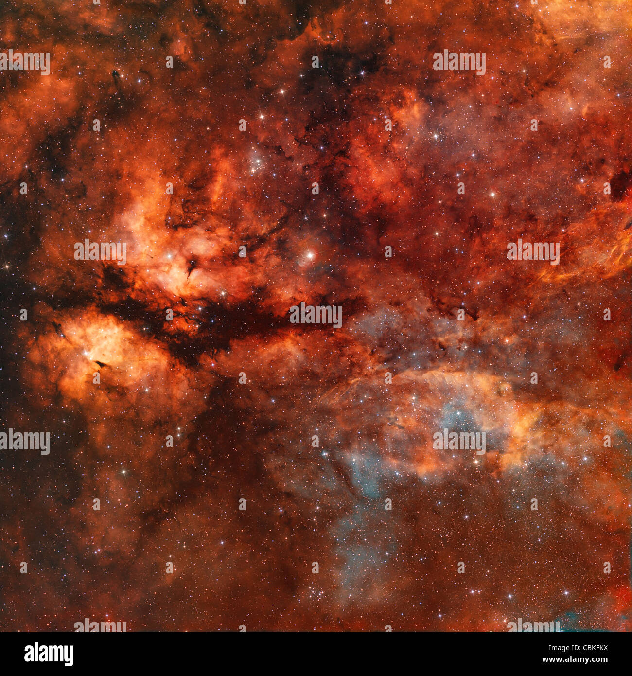 IC 1318 e la farfalla nebulosa intorno all star Gamma-Cygni. Foto Stock