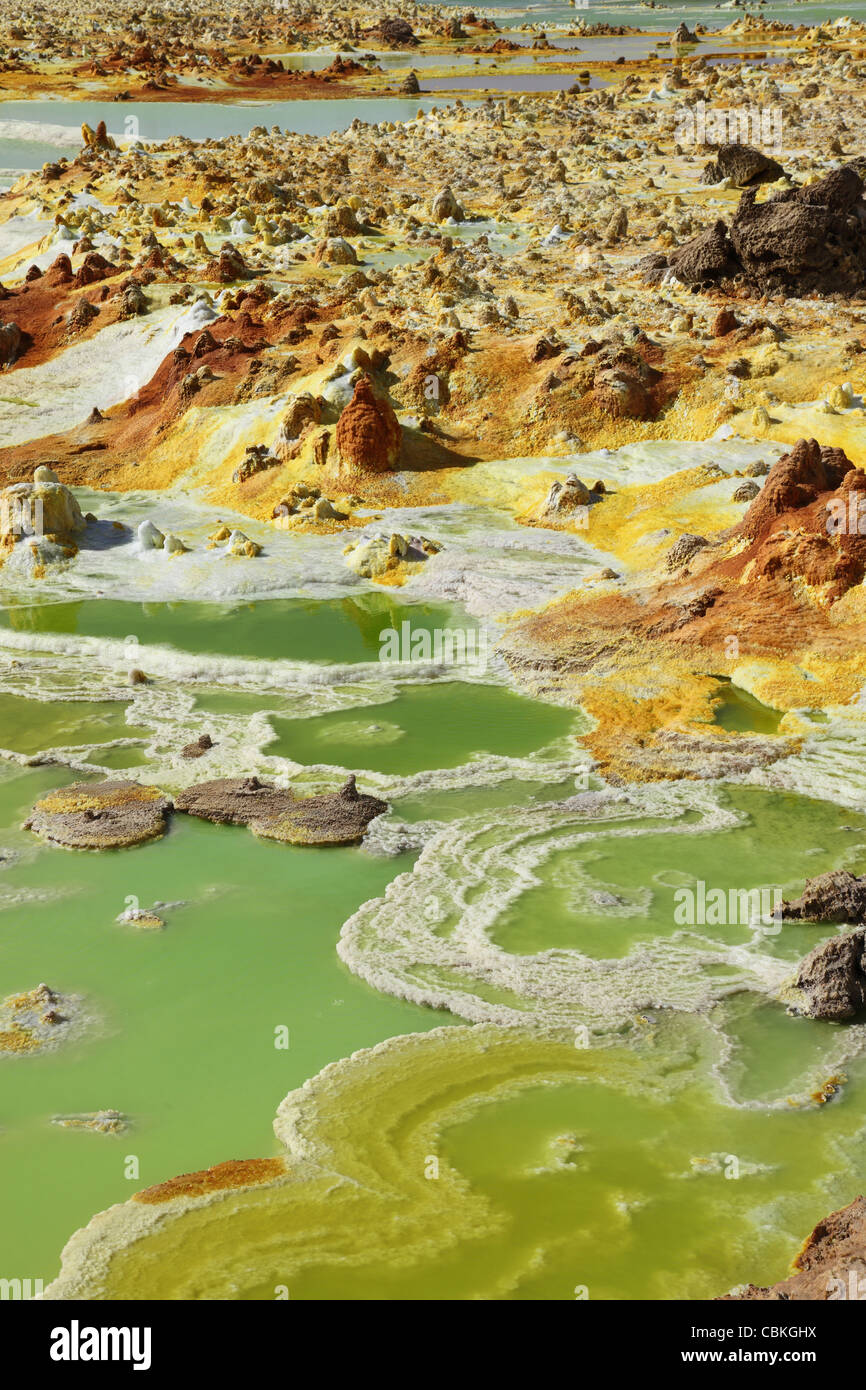 27 gennaio 2011 - Dallol area geotermica, sale di potassio depositi formatisi da salamoia hot springs, Danakil depressione, Etiopia. Foto Stock