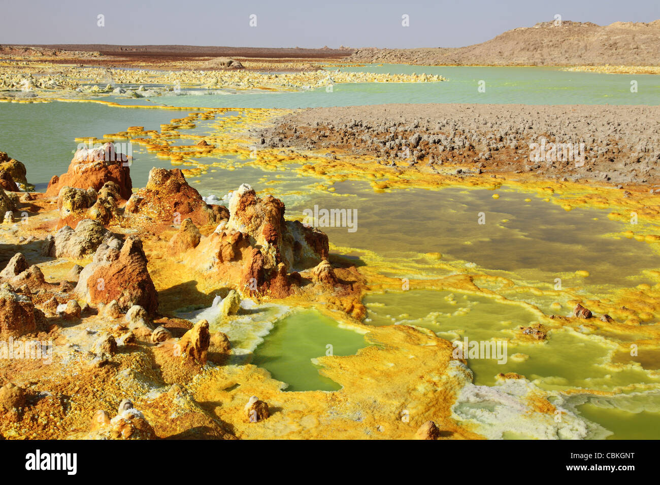 27 gennaio 2011 - Dallol area geotermica, sale di potassio depositi formatisi da salamoia hot springs, Danakil depressione, Etiopia. Foto Stock