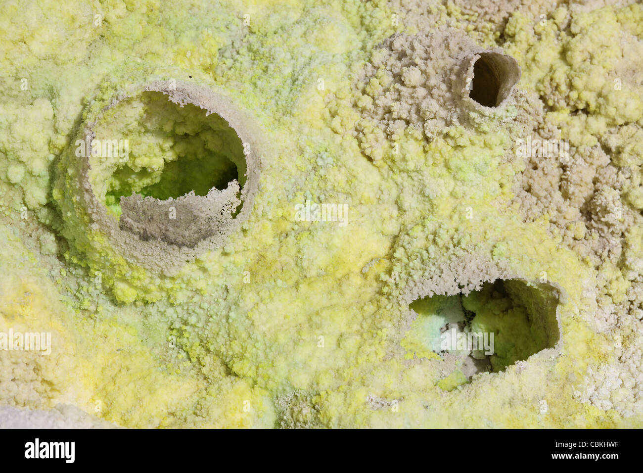 Dallol area geotermica, a forma di uovo fumarola depositi formatisi in depositi di sale della salamoia hot springs, Danakil depressione, Etiopia. Foto Stock