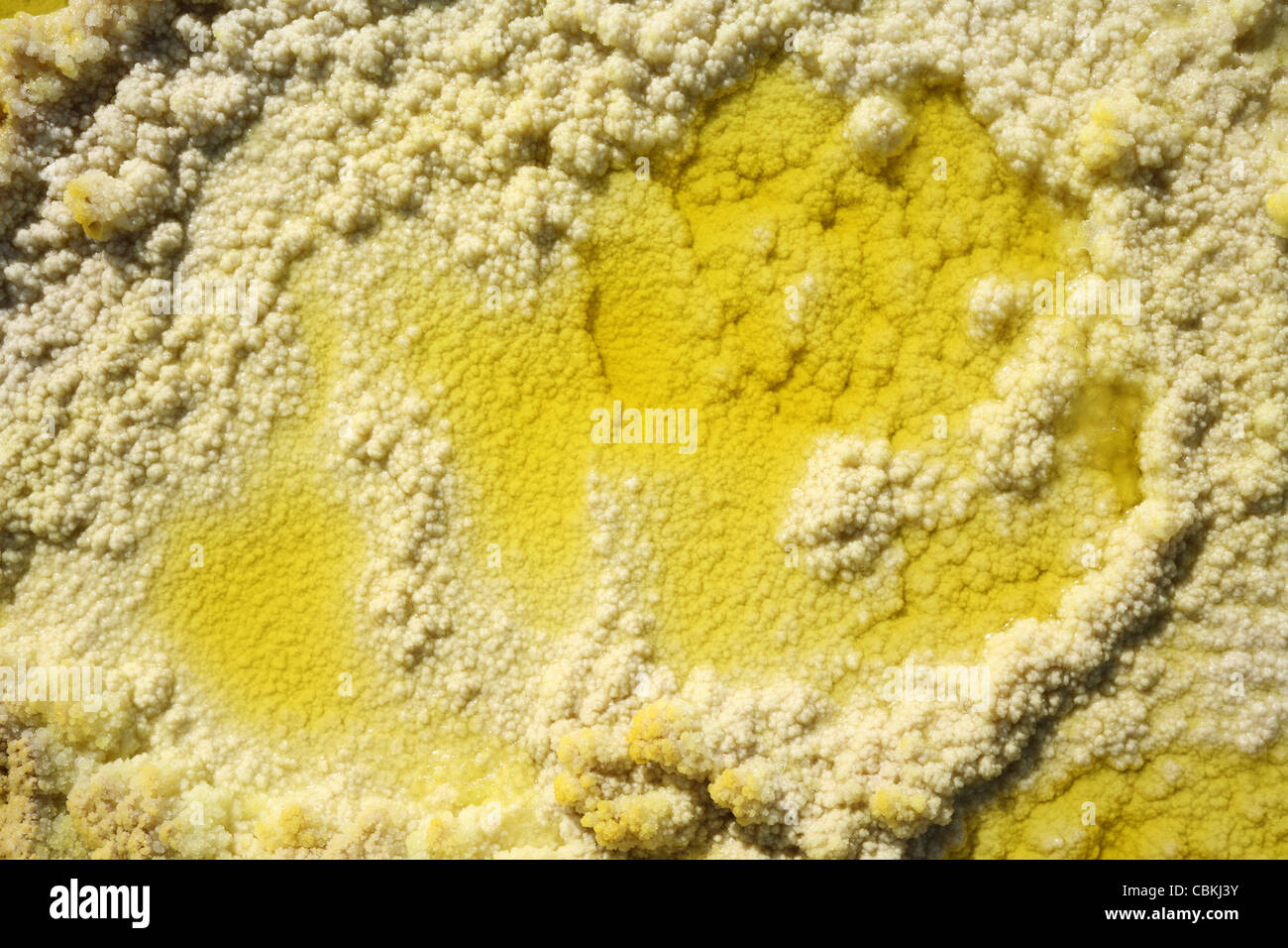 Dallol area geotermica, giallo dei cristalli di sale depositato per evaporazione di acqua dalla soluzione salina hot springs, Danakil depressione, Ethio Foto Stock