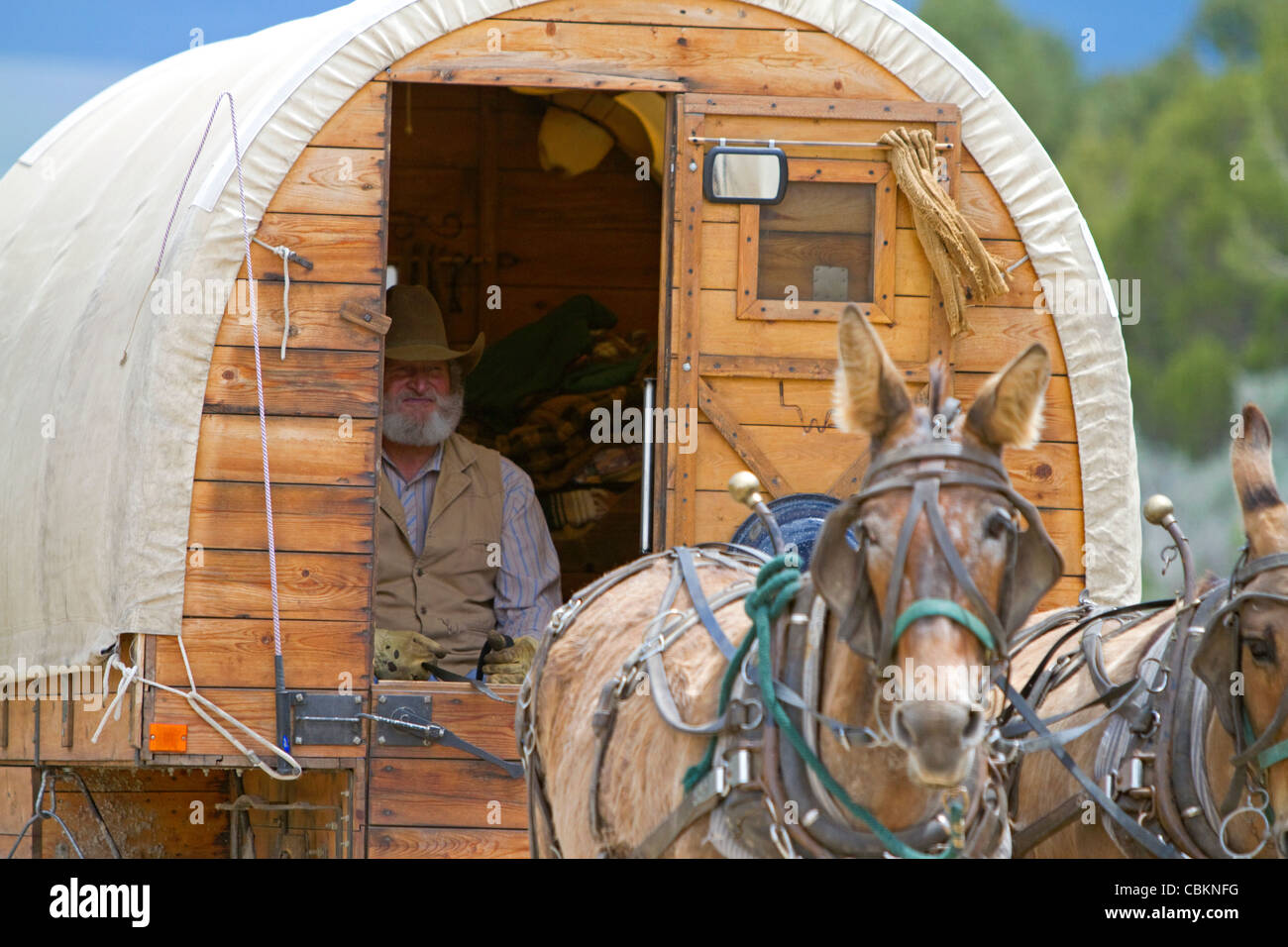 Muleskinner a cavallo su un carro coperto presso la città di roccia della riserva nazionale e del parco statale nella contea di cassia, Idaho, Stati Uniti d'America. Signor Foto Stock