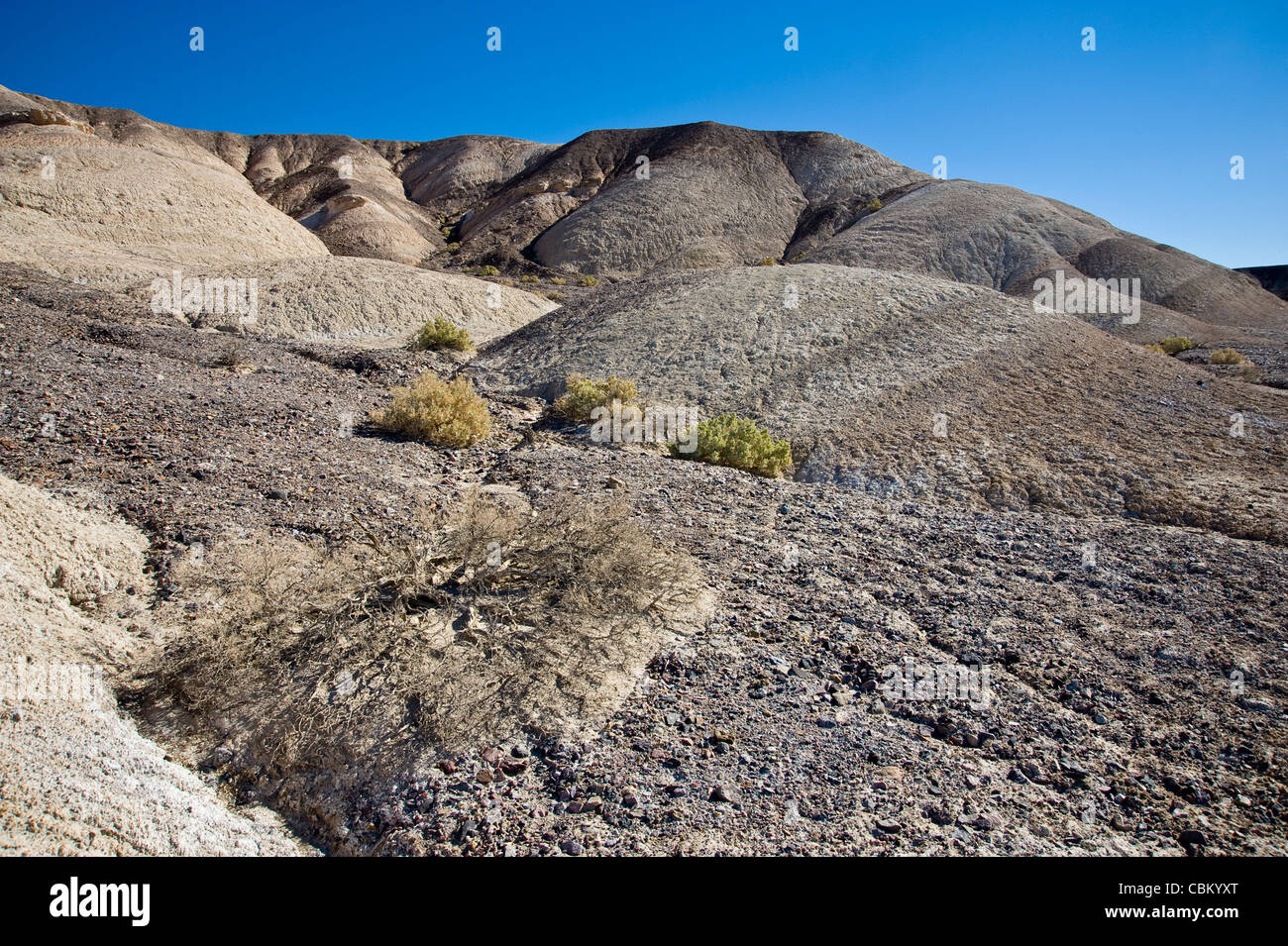 Rocky Hill nel deserto, Death Valley, Stati Uniti d'America Foto Stock