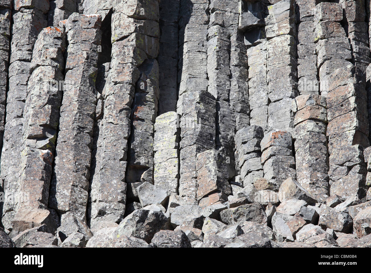 8 settembre 2009 - colonne di basalto formato mediante raffreddamento della lava, Sheepeater scogliere, il Parco Nazionale di Yellowstone, Wyoming. Foto Stock