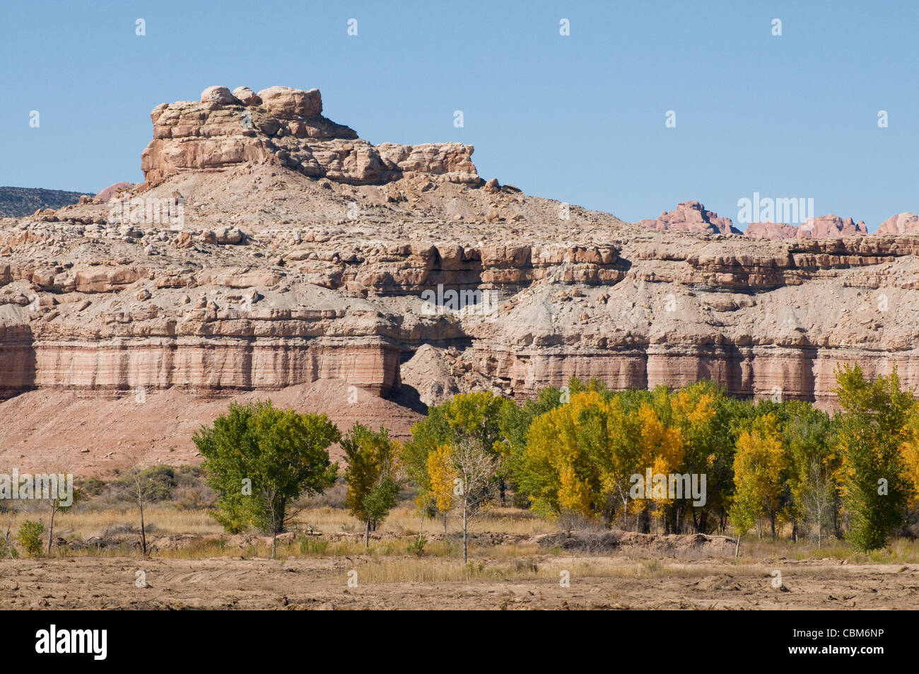 I colori dell'autunno Capital Reef National Park nello Utah Foto Stock