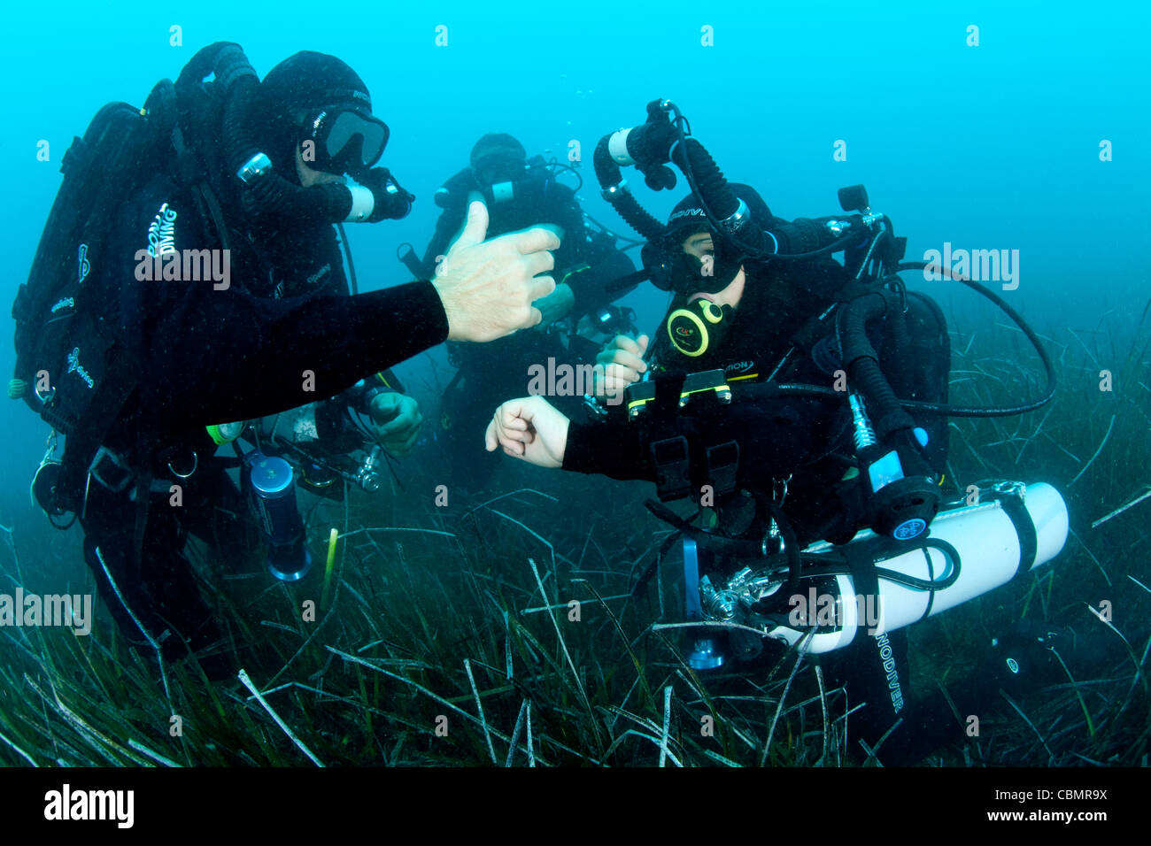 Rebreather Divers praticare esercizi, Ischia, Mare Mediterraneo, Italia Foto Stock
