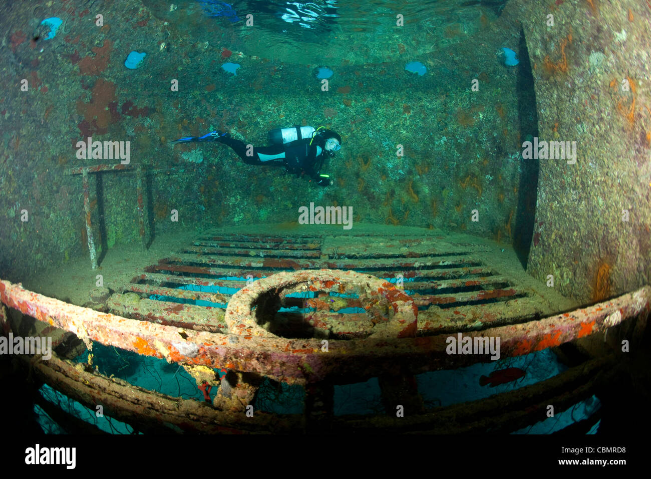Scuba Diver all'interno di habitat subacqueo Precontinent II di Jacques-Yves Cousteau, Shaab Rumi, Mar Rosso, Sudan Foto Stock Scuba Diver all'interno di habitat subacqueo Precontinent II di Jacques-Yves Cousteau, Shaab Rumi, Mar Rosso, Sudan Foto Stock