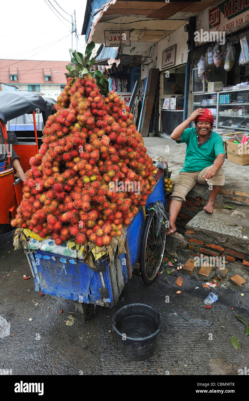 Concessionario Rambutan a Sunda Kelapa baraccopoli, Jakarta, Indonesia Foto Stock