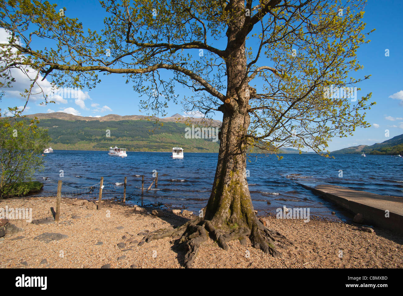 Tarbet , Loch Lomond, Scozia. Foto Stock