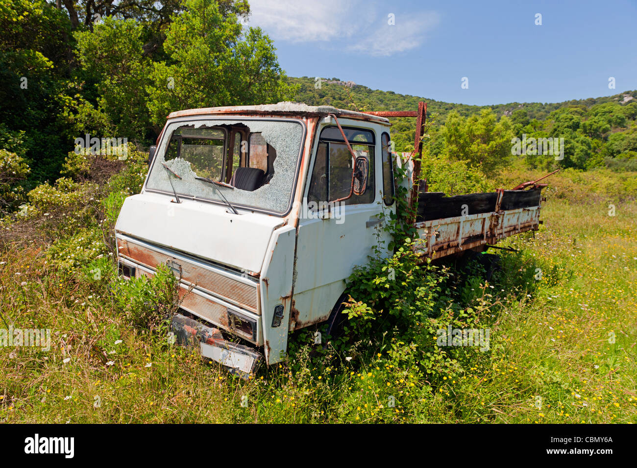 Abbandonato e arrugginito carrello nel campo Foto Stock