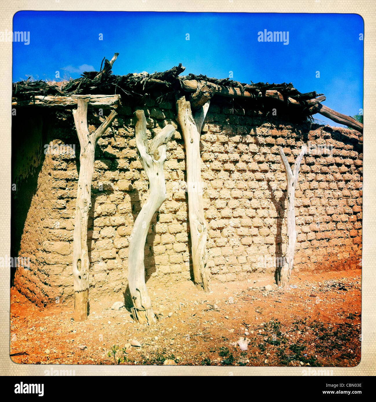 Tronchi di alberi utilizzati per il taglio di capra in Baligubadle, il Somaliland Foto Stock