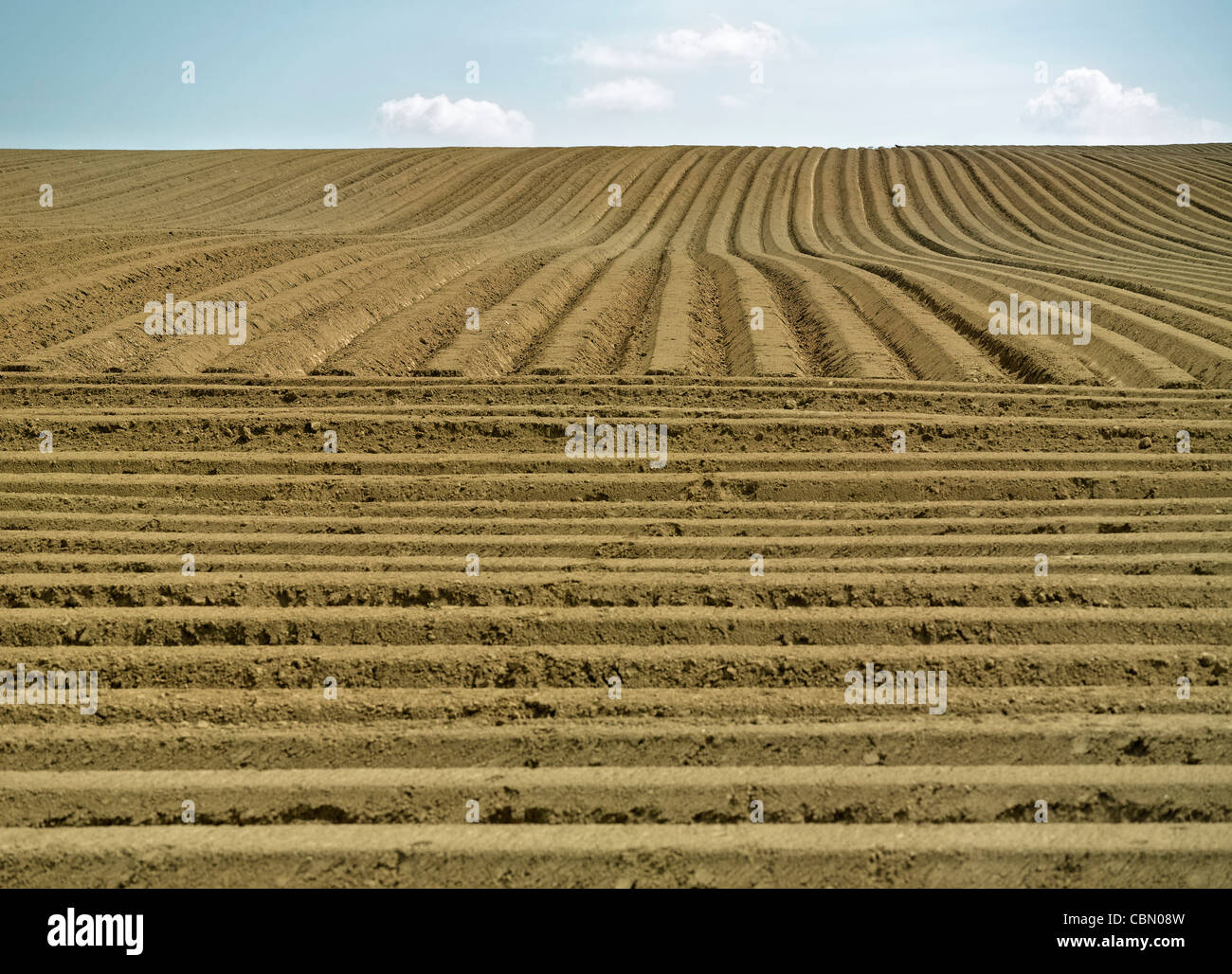 Campo di fattoria con solchi Foto Stock