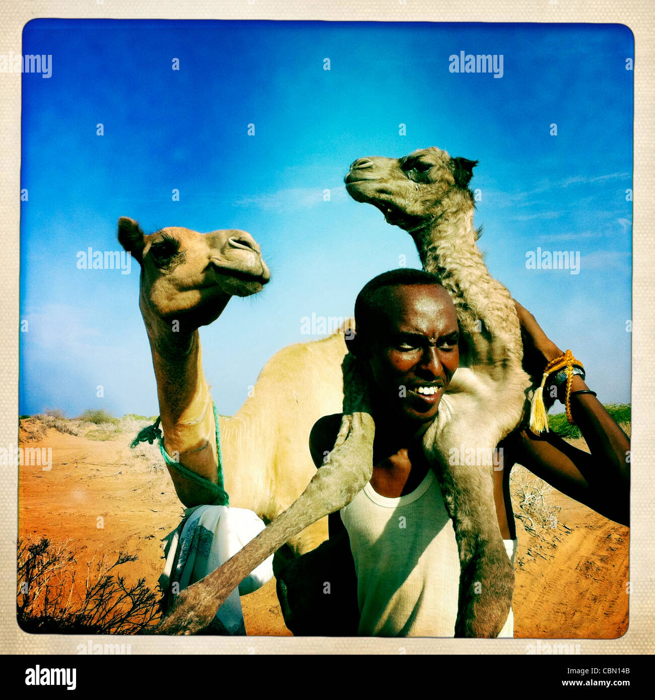 Nero uomo maturo Holding baby cammello sulla sua schiena, Area Lughaya, il Somaliland Foto Stock