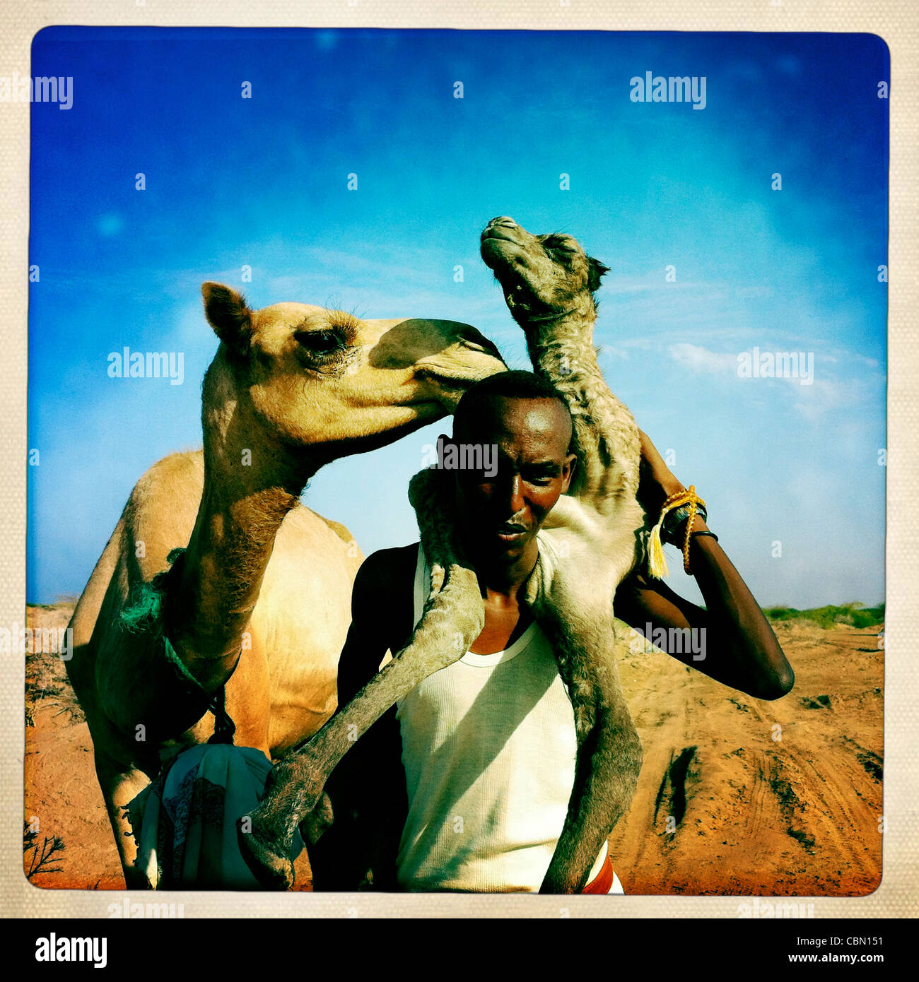 Nero uomo maturo Holding baby cammello sulla sua schiena, Area Lughaya, il Somaliland Foto Stock
