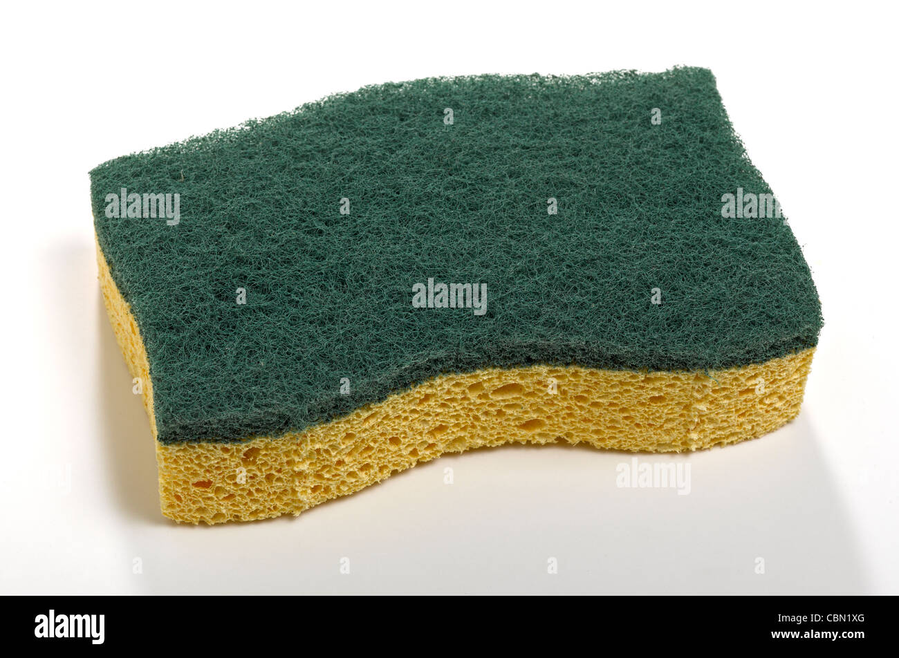Spugna con abrasivo verde su sfondo bianco Foto Stock