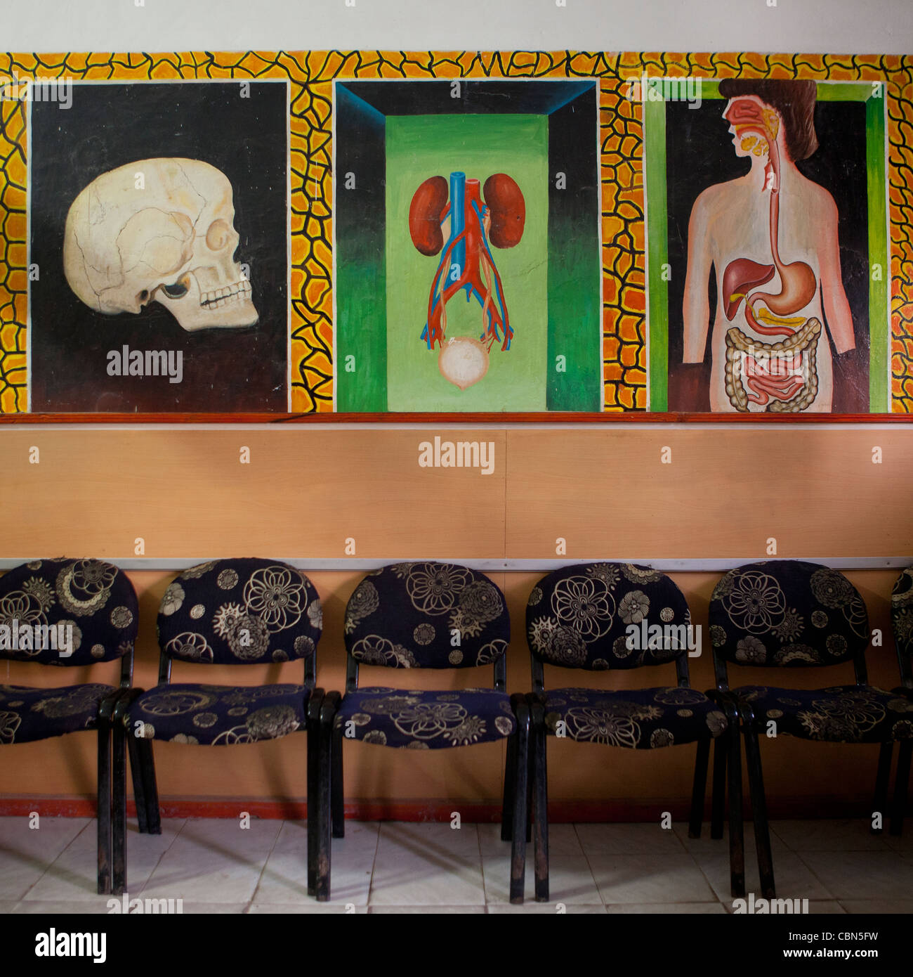 All'interno della sala di attesa con organi raffigurati sulla parete, Hargeisa Somaliland Foto Stock