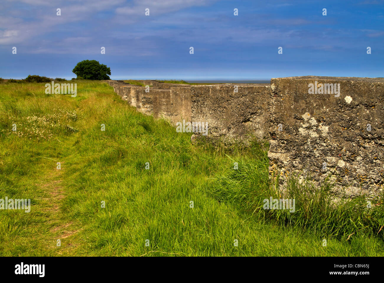Le difese costiere in Beal, Northumberland. Grandi blocchi di cemento posto per impedire l'invasione del serbatoio durante la Seconda Guerra Mondiale. Foto Stock
