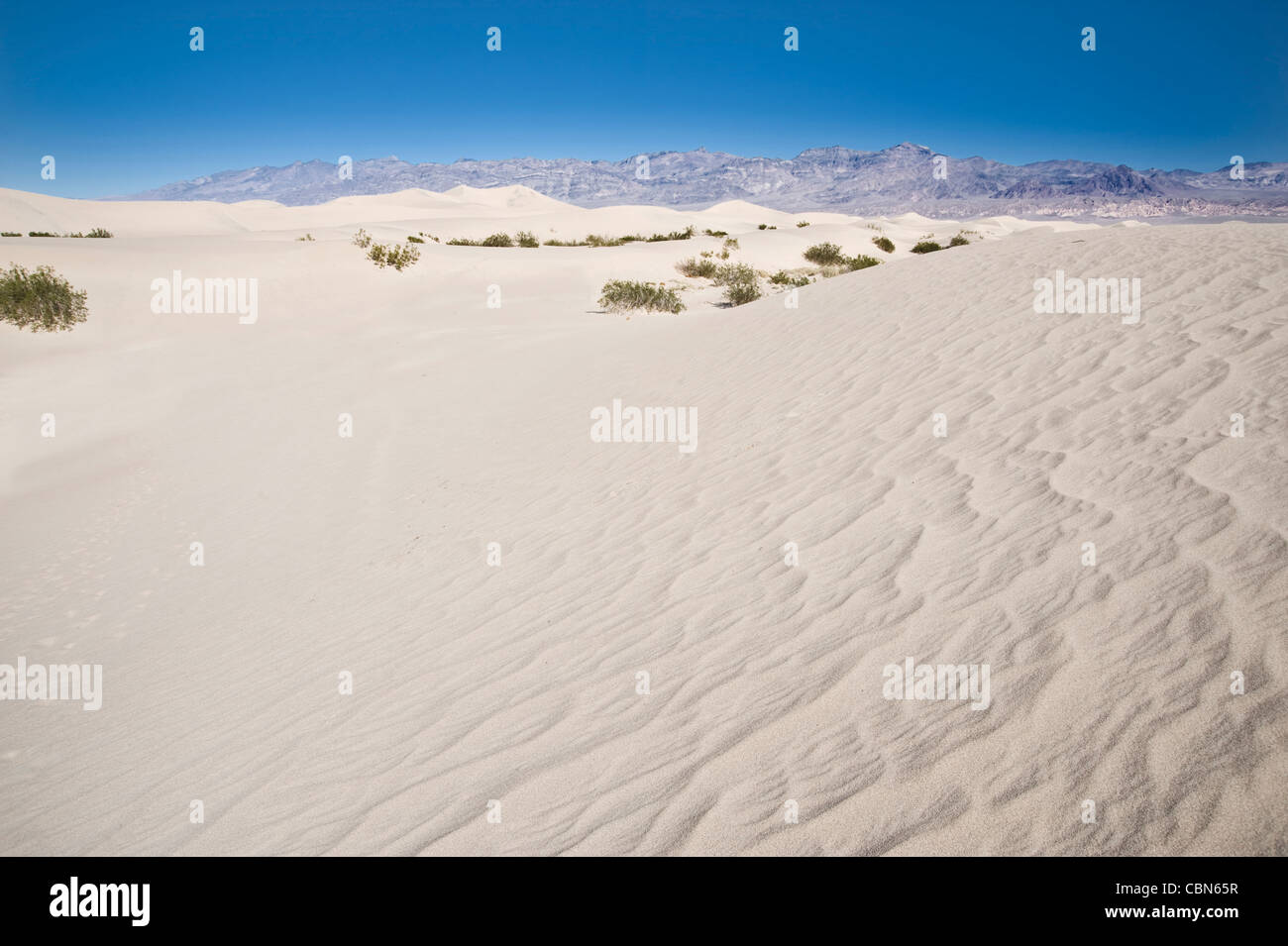 Dune di sabbia del deserto, Parco Nazionale della Valle della Morte, STATI UNITI D'AMERICA Foto Stock