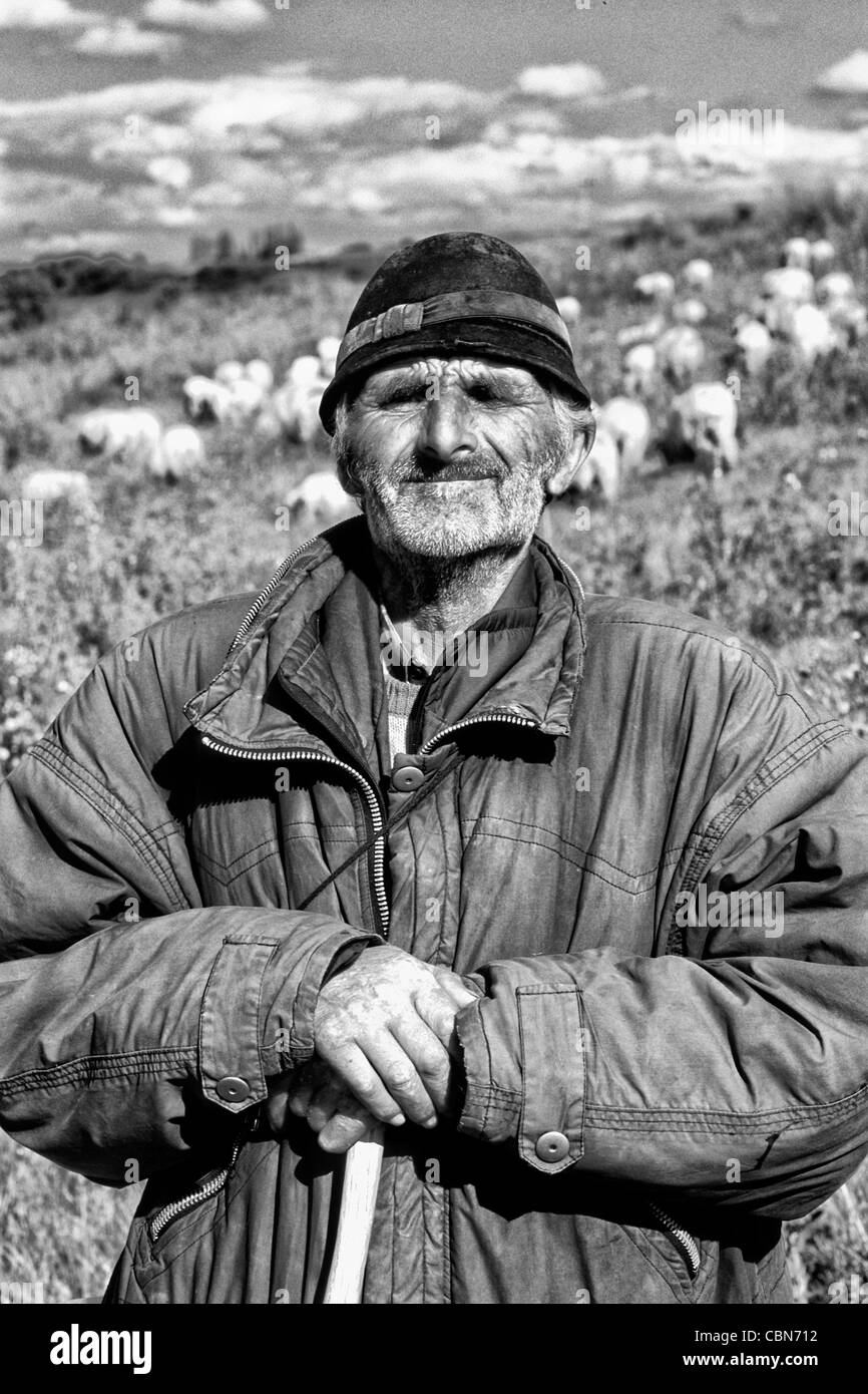 Croazia bella costa ritratto di pecore vecchie herder vicino Dubrovnik Croazia Foto Stock