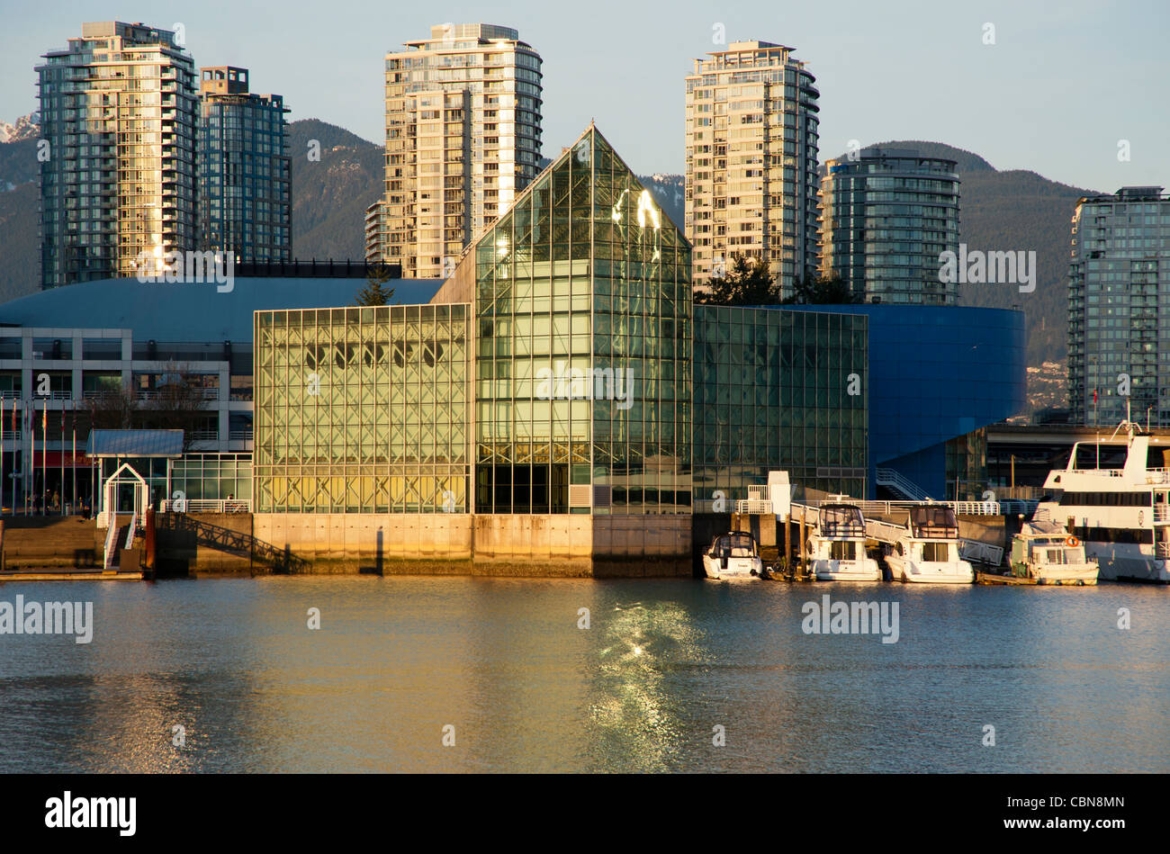 Barche di lusso ancorata al di fuori di Edgewater Casino nel tardo pomeriggio, Vancouver, British Columbia, Canada Foto Stock