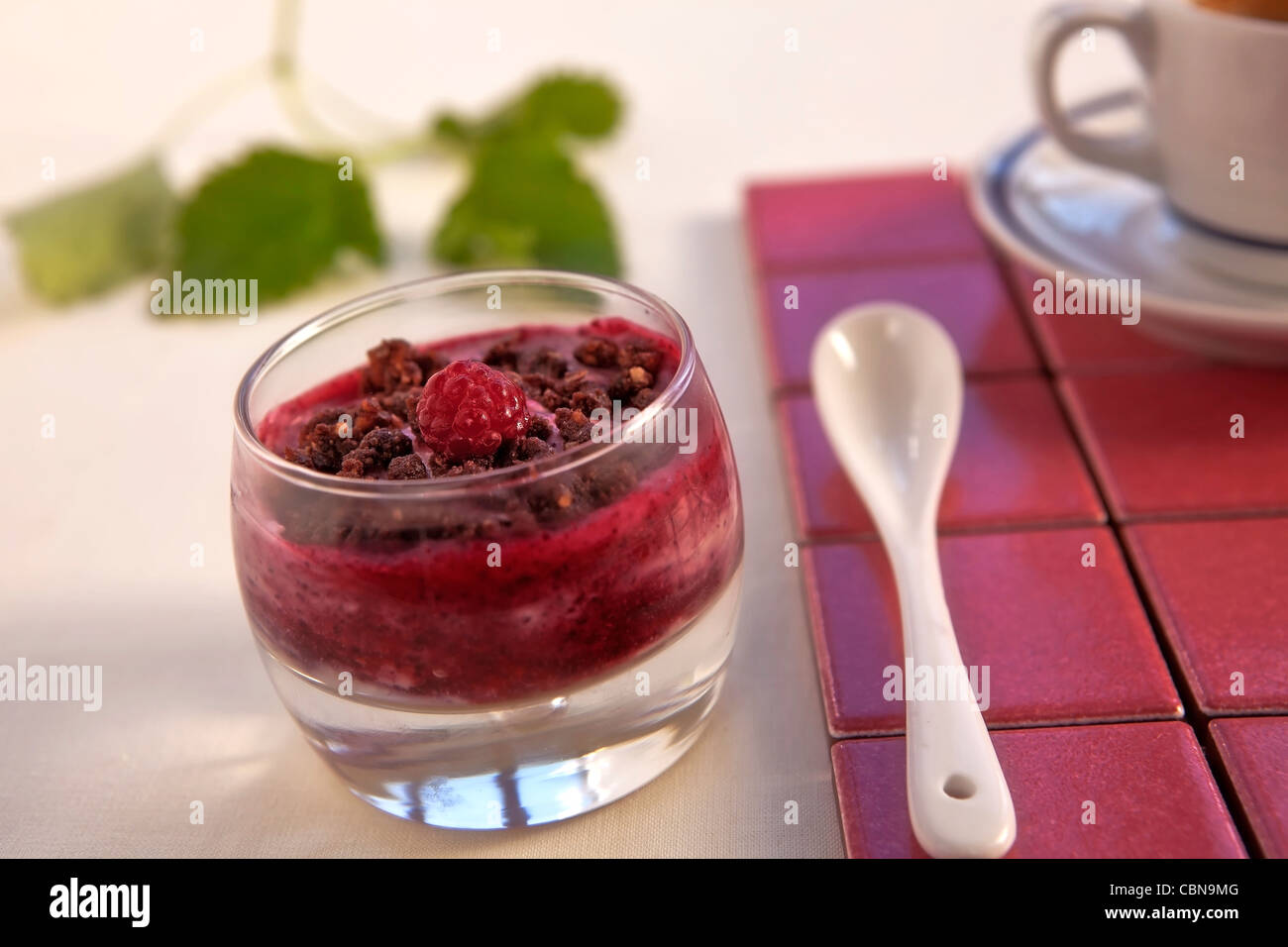 Mascarpone Marsala la crema in un bicchiere con il cioccolato amaretto sbriciolate e salsa di frutti di bosco Foto Stock
