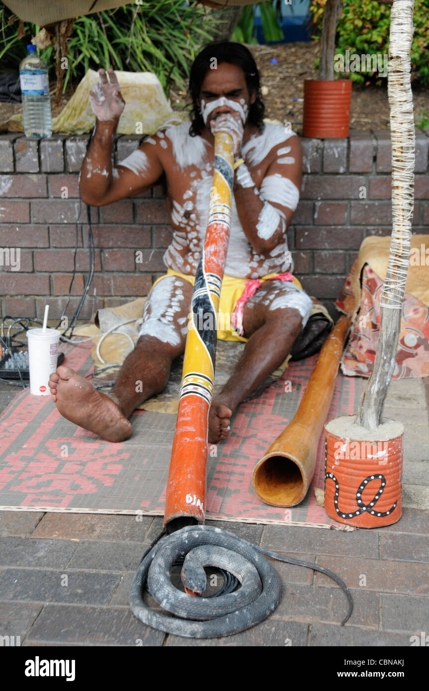 Un busker aborigeno che suona il suo didgeridoo con un serpente come attrazione turistica su Circular Quay a Sydney, Australia Foto Stock