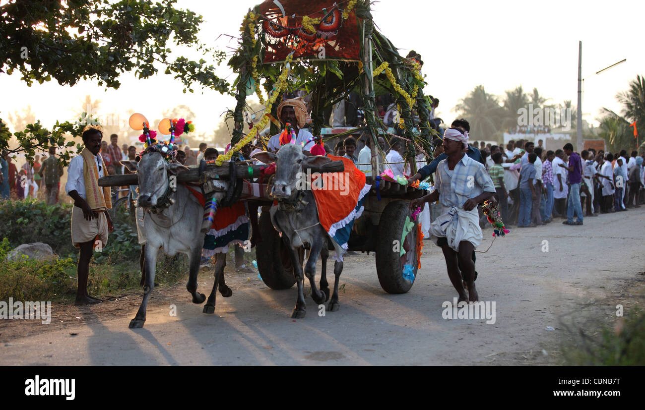 Carrello di giovenco gara e la folla Anantapur distretto a sud India Andhra Pradesh in India del Sud Foto Stock