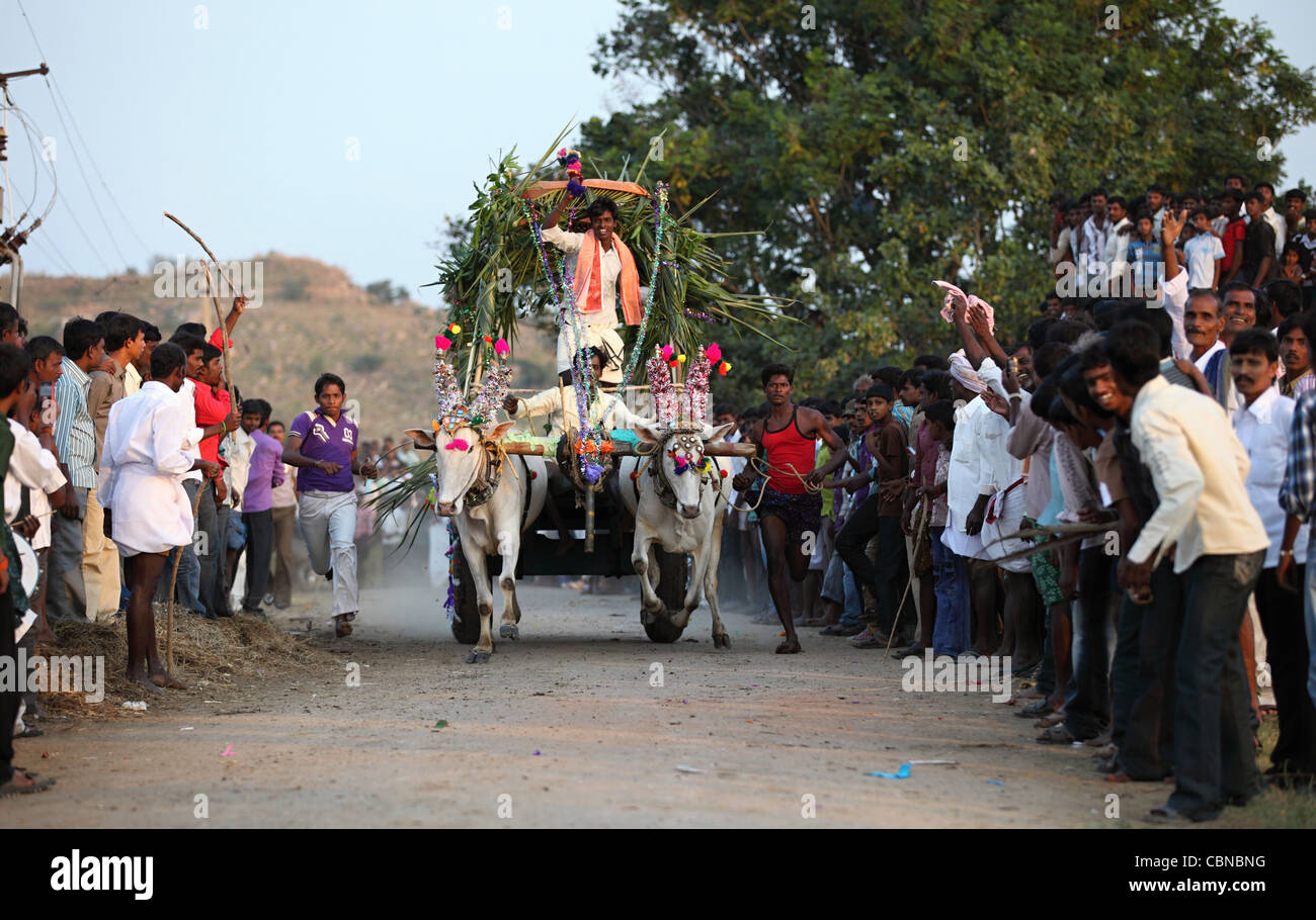 Carrello di giovenco gara e la folla quartiere Anantapur Andhra Pradesh in India del Sud Foto Stock