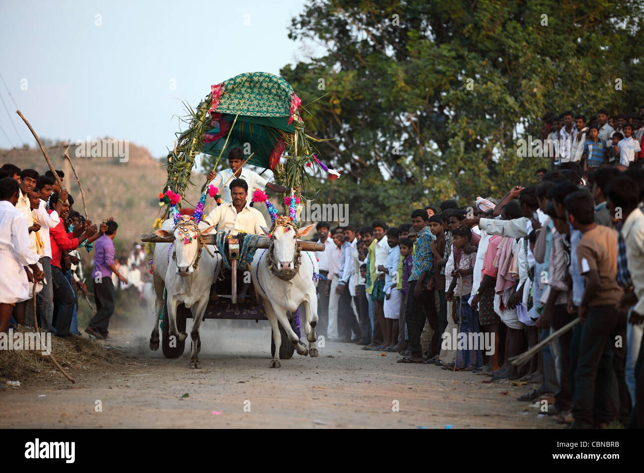 Carrello di giovenco gara e crow Anantapur district in Andhra Pradesh in India del Sud Foto Stock
