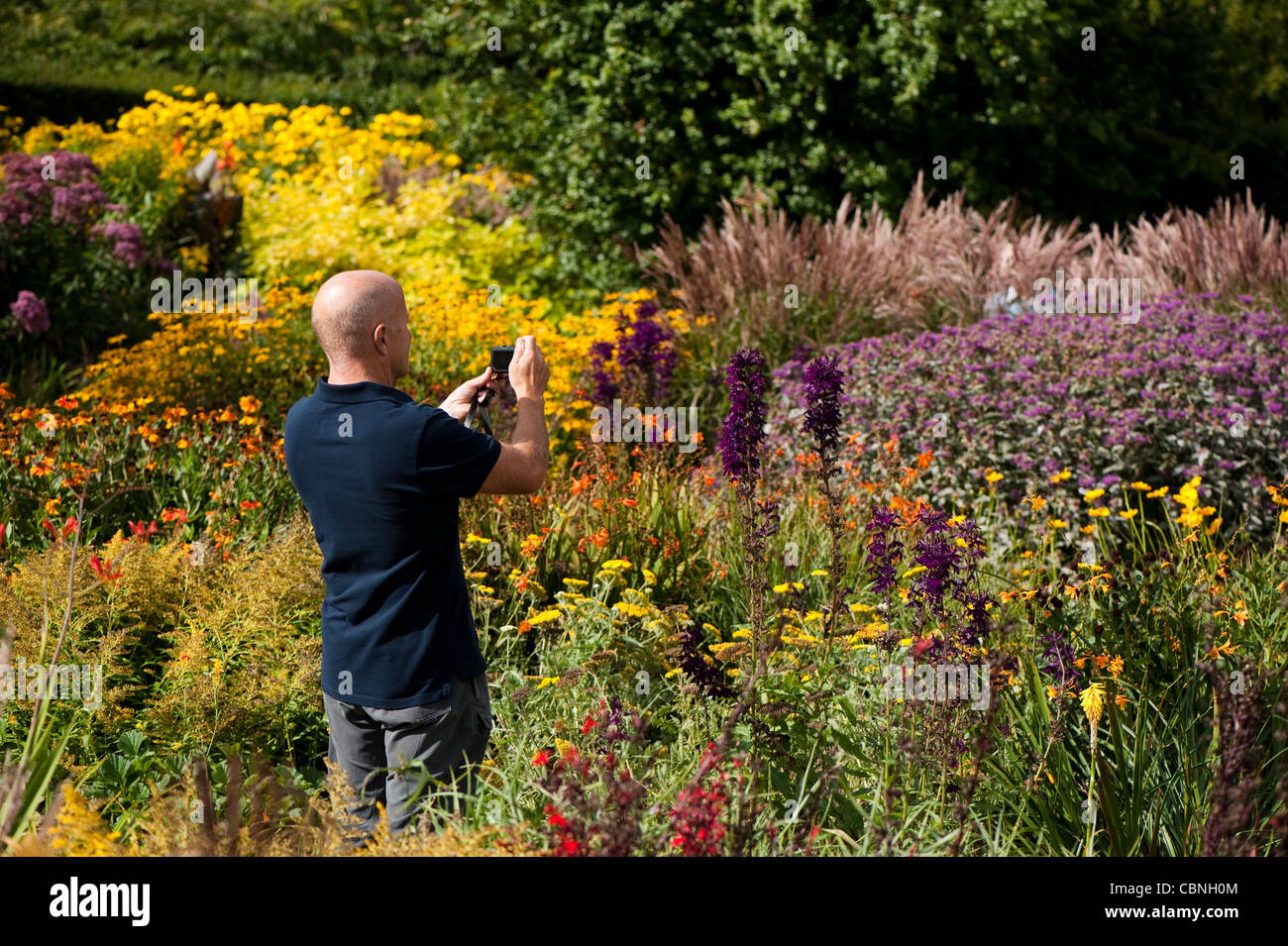 Uomo di prendere una fotografia nel giardino a caldo in settembre, RHS Rosemoor, Devon, Inghilterra, Regno Unito Foto Stock