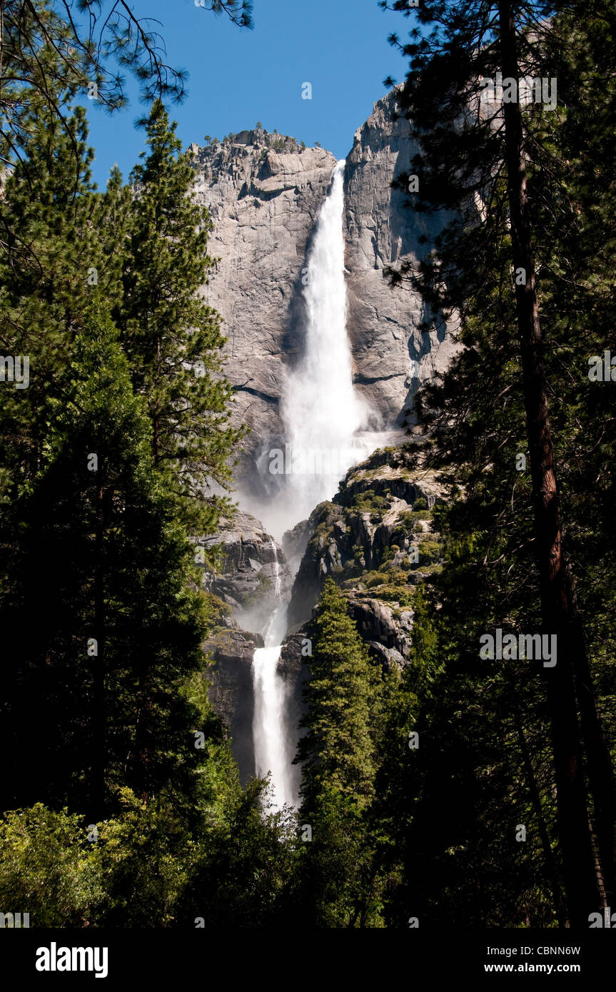 Superiore e inferiore di Yosemite Falls da Yosemite Valley Yosemite National Park in California Foto Stock