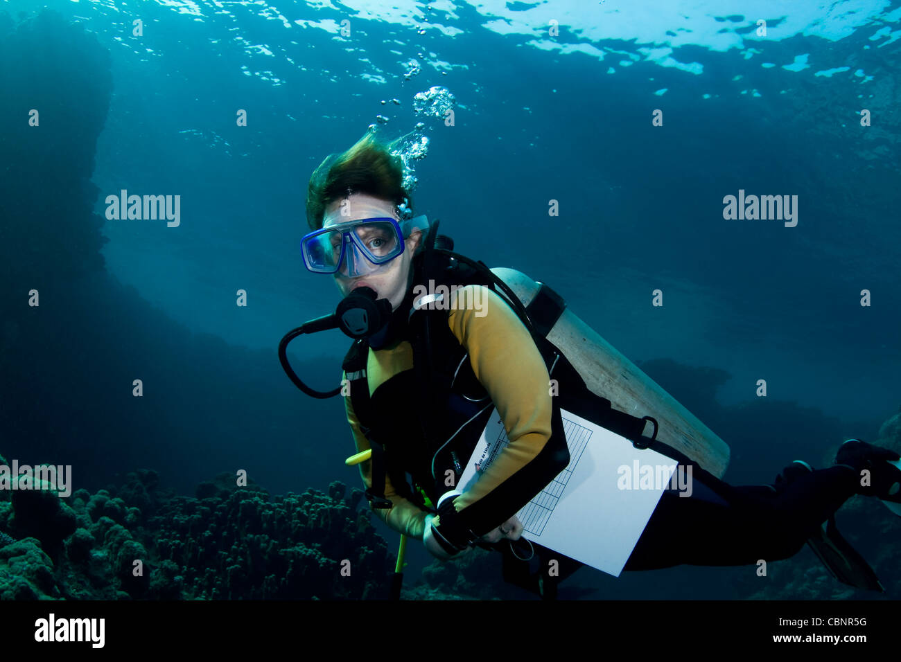 Femmina subacqueo durante un advanced open water corso del Mar Rosso meridionale Foto Stock