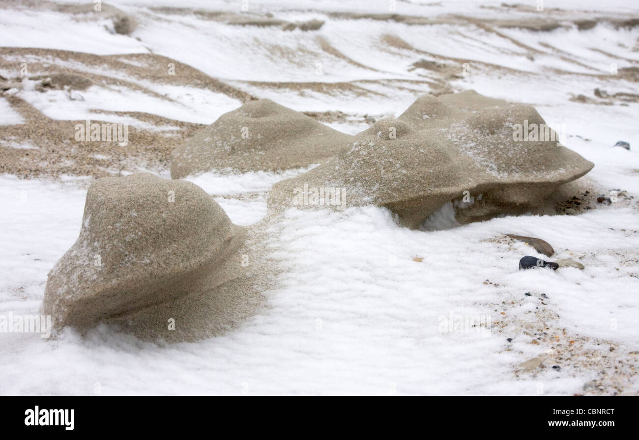 Il Wadden Sea con la neve Foto Stock