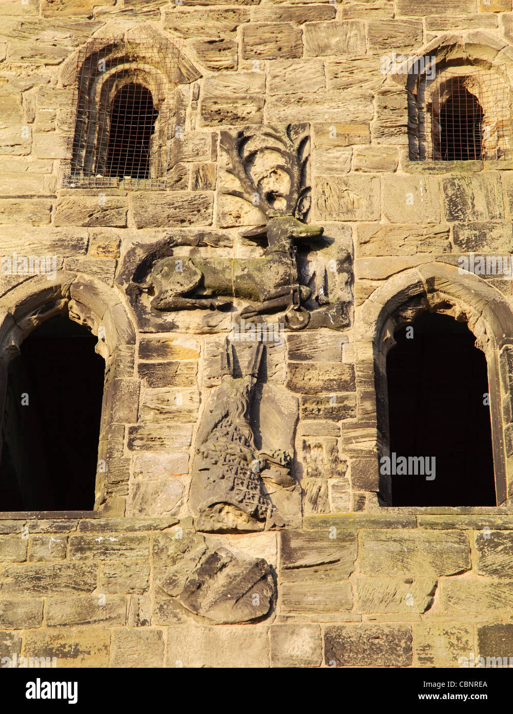 Il White Hart o simbolo distintivo di Richard II visto sulla facciata est del castello Hylton Sunderland Nord Est Inghilterra Foto Stock