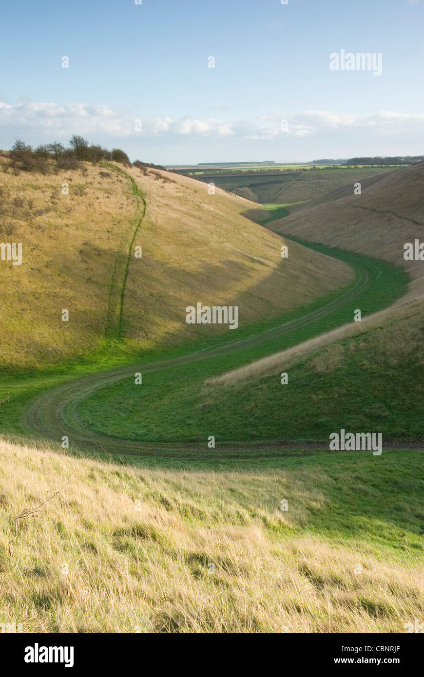 Holm Dale nel Yorkshire Wolds Foto Stock