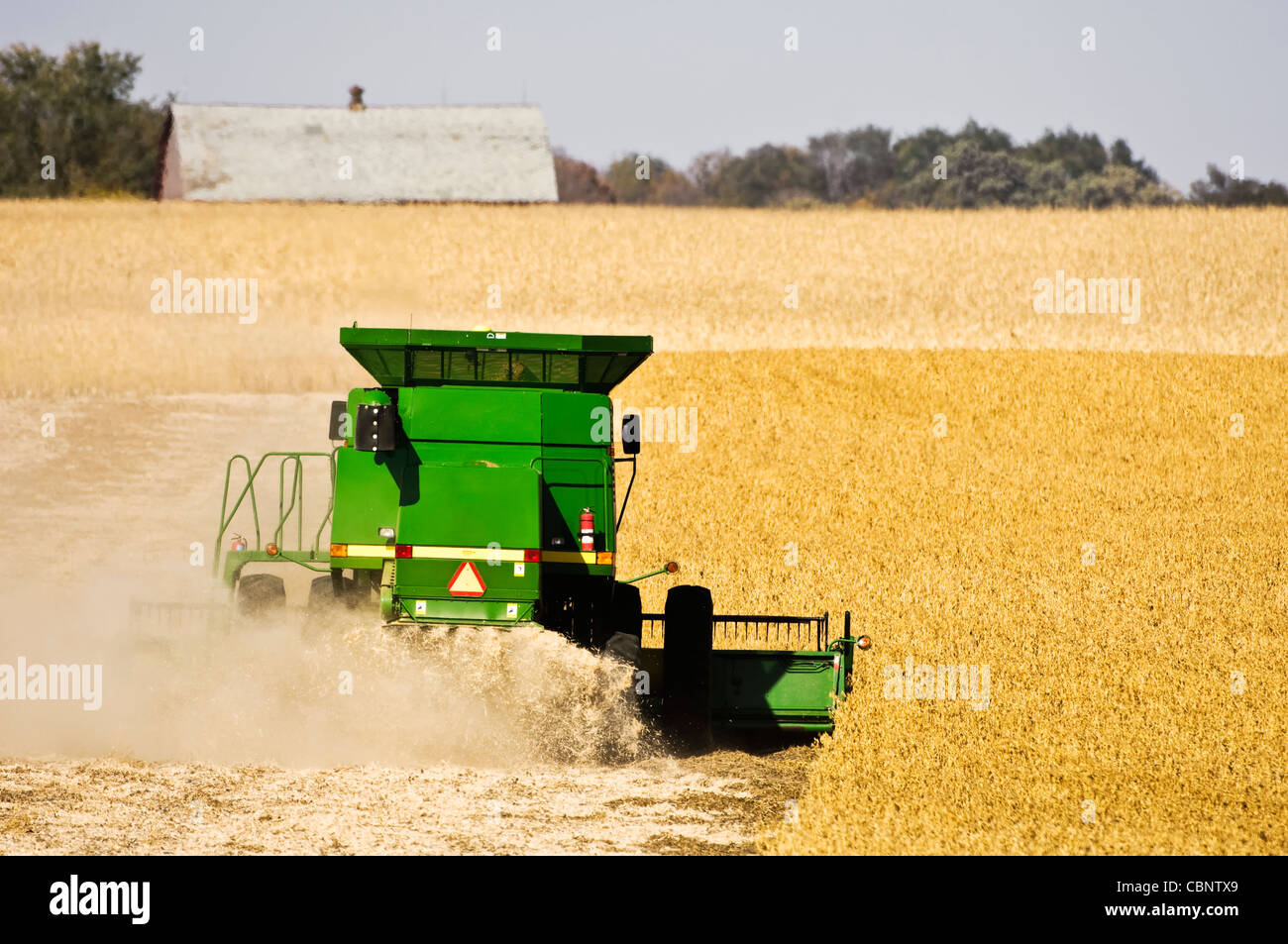 Una mietitrebbia la raccolta di semi di soia in un campo con un fienile in background. Foto Stock