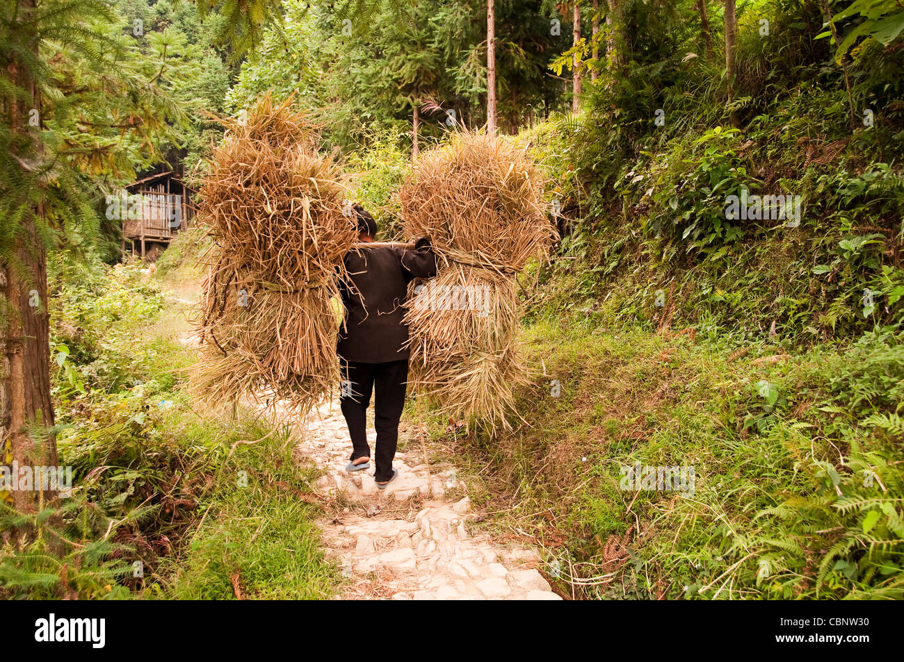 L'agricoltore che trasportano il riso le balle di paglia vicino Zhaoxing, Guizhou - Cina Foto Stock