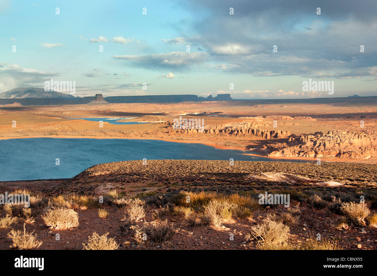 Deserto Utah, formazioni di arenaria, Lago Powell, Glenn Canyon Foto Stock