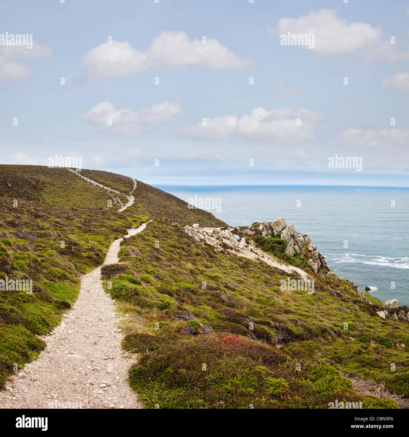 Sentiero costiero a Cap de la Chevre, Crozon Penisola, Finisterre, Bretagna Francia costa Foto Stock