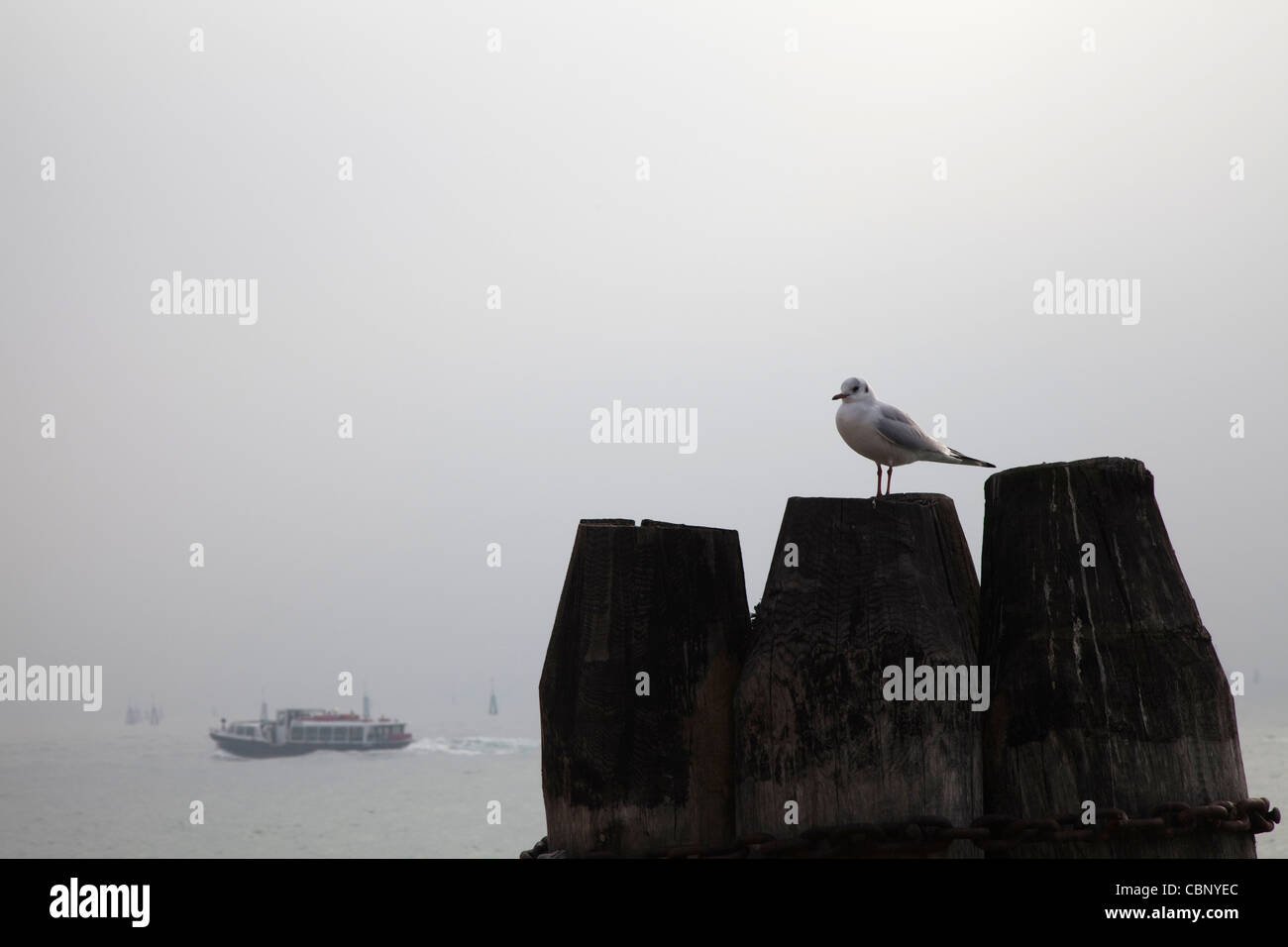 Venezia in autunno Foto Stock