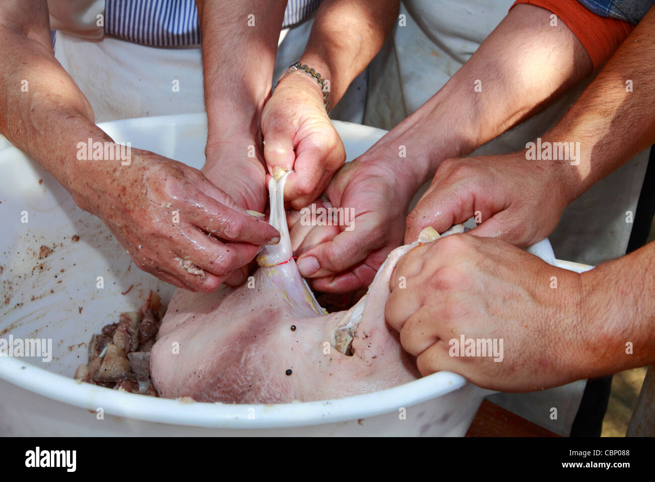 Compatrioti di riempimento intestini di maiale con la carne di suolo e spezie per fare le salsicce, vista in dettaglio Foto Stock