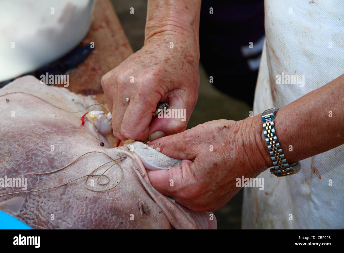 Il connazionale riempimento intestini di maiale con la carne di suolo e spezie per fare le salsicce,mano dettaglio Foto Stock