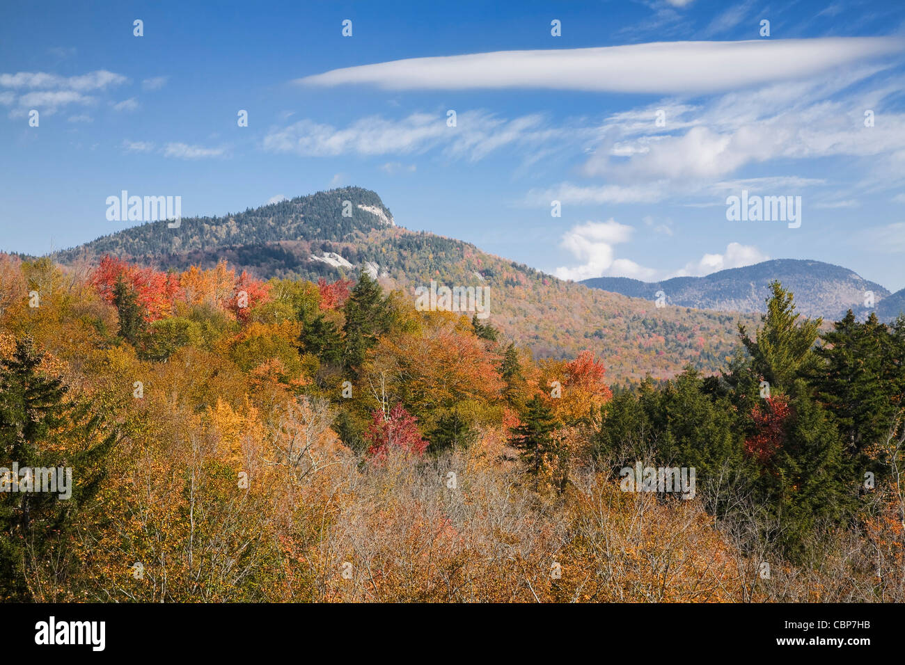 Verde della scogliera (quota 2,926') lungo l'autostrada Kancamagus nelle White Mountains, New Hampshire Foto Stock