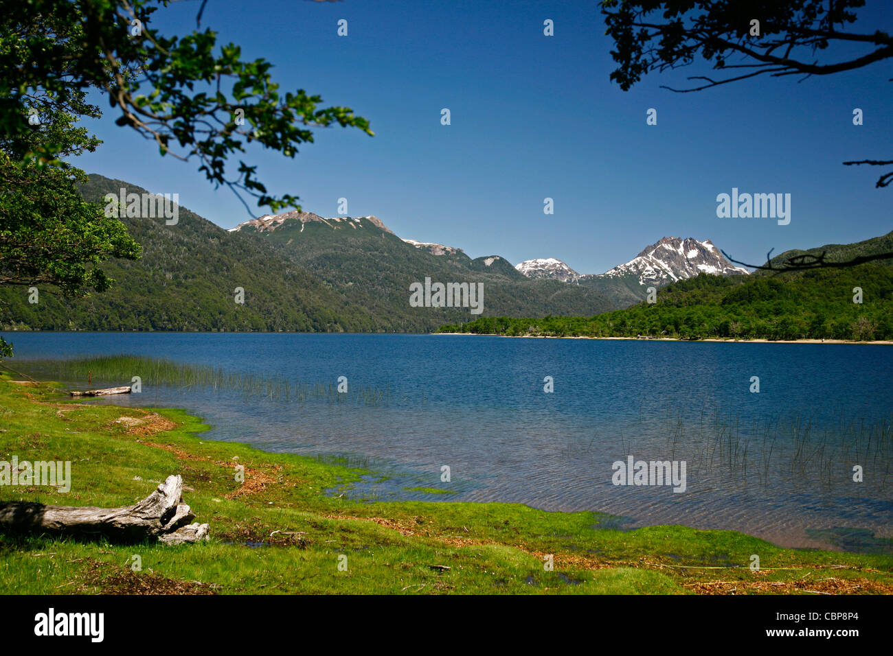 Lago Falkner nella regione dei laghi vicino a Bariloche, Patagonia. Argentina. Foto Stock