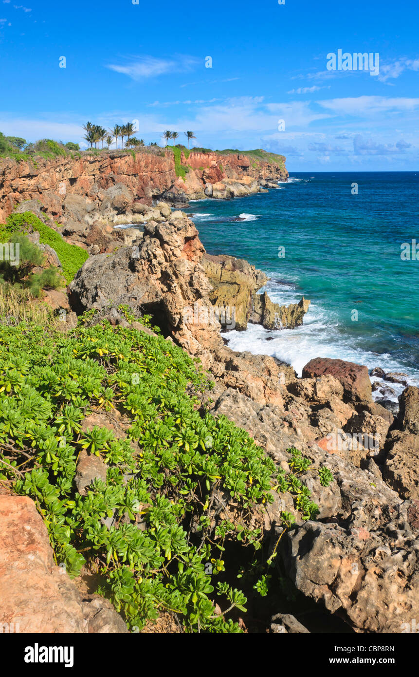 South Shore di Isola di Kauai, Hawaii, STATI UNITI D'AMERICA Foto Stock