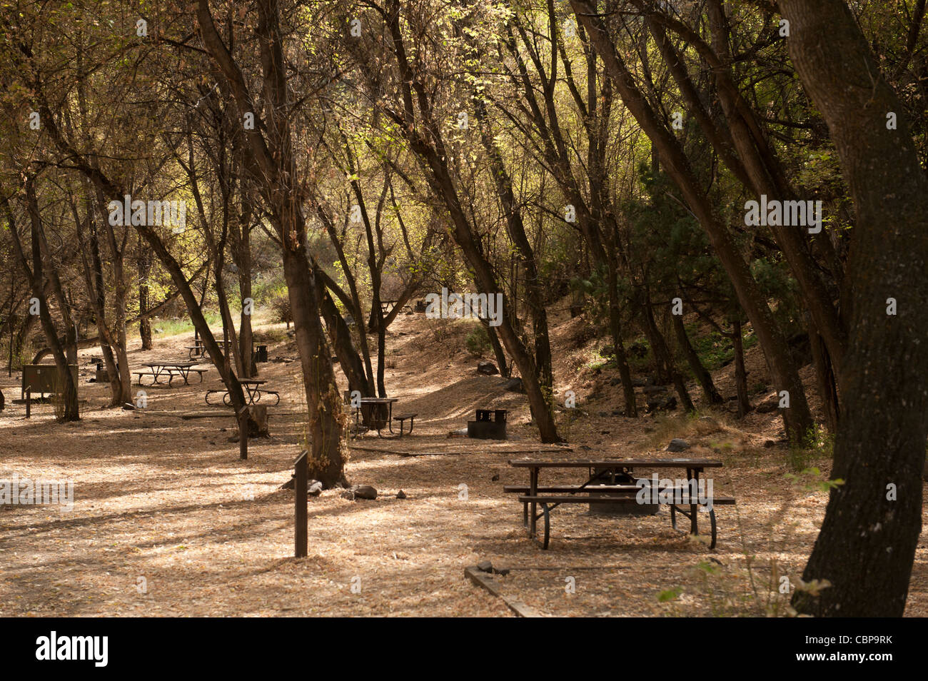 Il portale ad est Campeggio a Bordo del Canyon Nero del Parco nazionale del Gunnison Foto Stock