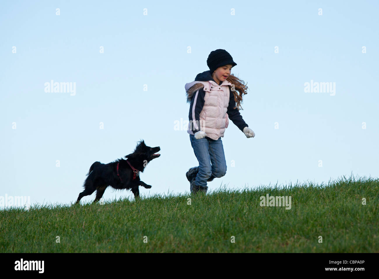 Giovane ragazza che gioca con un cane Foto Stock