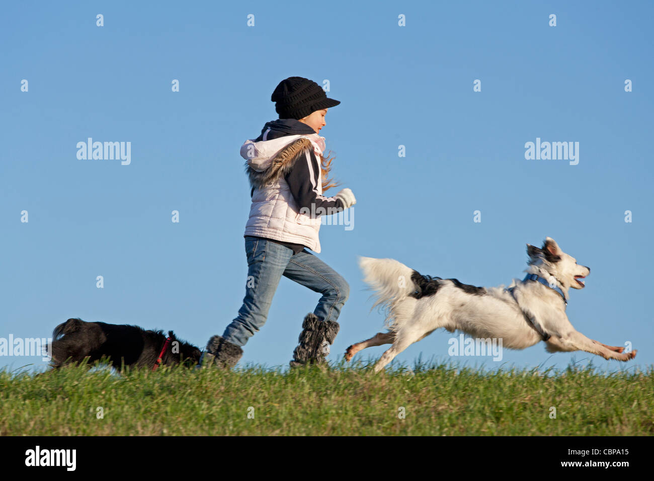 Giovane ragazza che gioca con due cani Foto Stock
